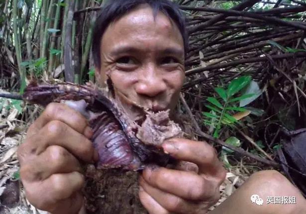 隱居叢林41年「不知世界有女人」！真人泰山回歸文明8年後癌逝