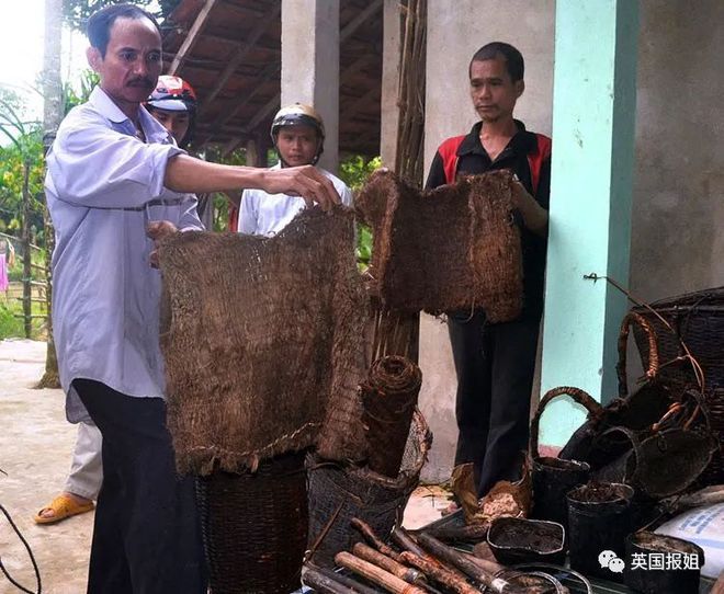 隱居叢林41年「不知世界有女人」！真人泰山回歸文明8年後癌逝