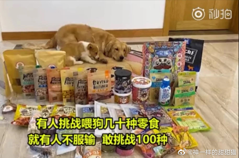 餵狗吃辣椒、跳跳糖!大陸驚見「寵物大胃王」 網罵爆:主人有病