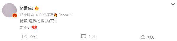 Miss A 前成員「大秀南半球」！工作室認抄襲　網罵爆：丟臉丟到國外