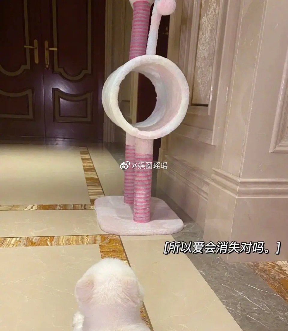 瘋傳鹿晗、關曉彤「即將分手」登頂熱搜!網曝女方「小帳發文」:愛會消失