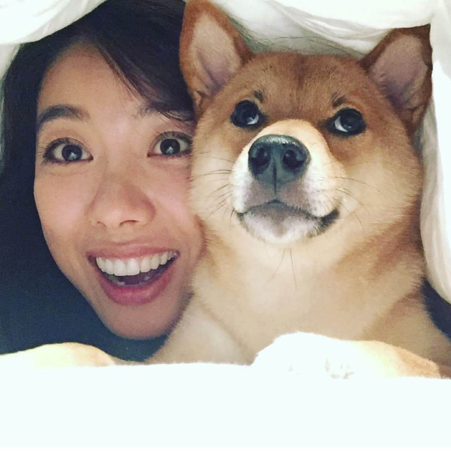 愛犬相伴七年 慘「遭車撞亡」 林可彤淚崩喊：我做錯了什麼！