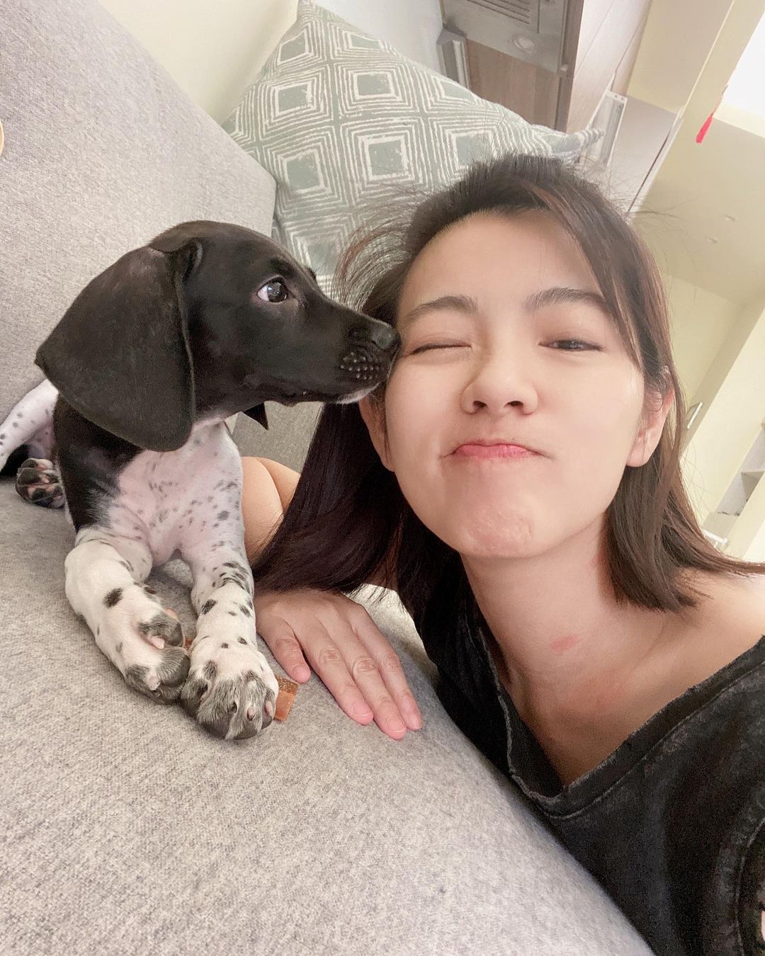 狗園慘變亂葬崗！負責人市政府鬧跳樓　米可白怒批：浪費社會資源，令人不齒！