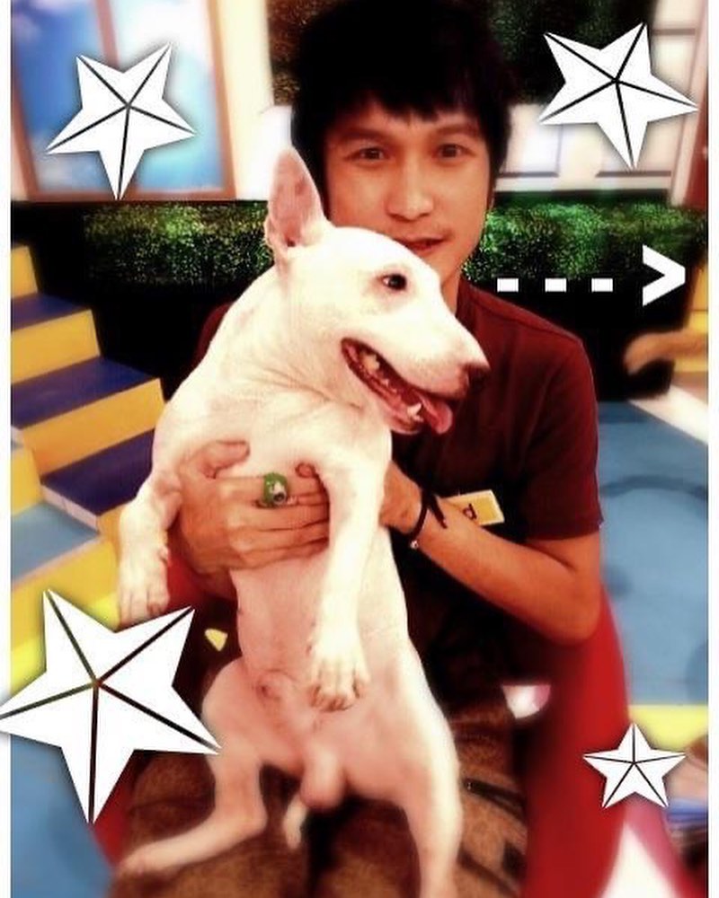 「深情喊話」已逝愛犬!KID曬溫馨舊照 網歪樓:拿劉文聰照片?