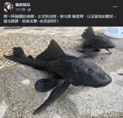 連千毅怒喊告!揭開「勾起你心中的惡」真面目:對你了解太多
