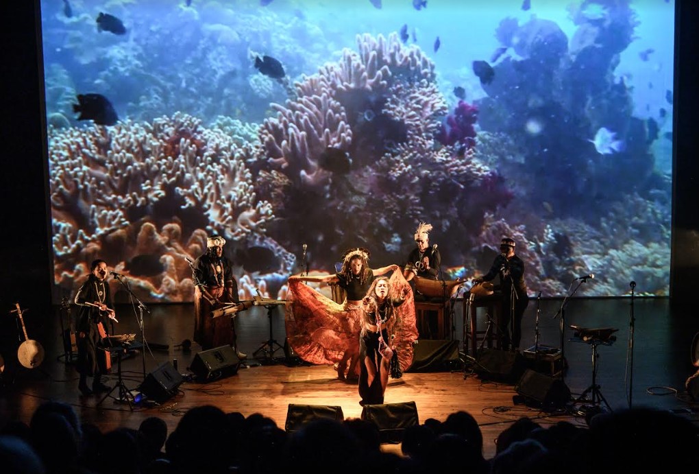 小島大歌〈海洋的哀悼〉MV上線！呼籲世人「關注海洋生態危機」：彩色珊瑚礁已不復見