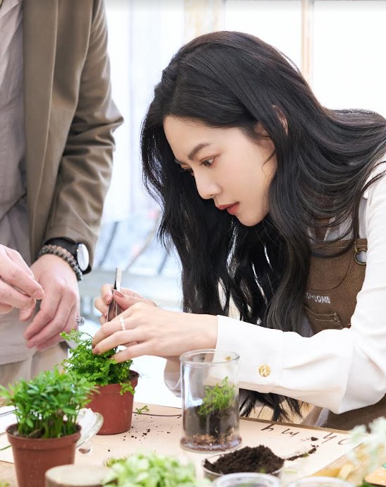 提倡綠色生活理念！曾之喬手做「生態瓶」呼應品牌永續理念　讚嘆：植物是堅強又美的存在