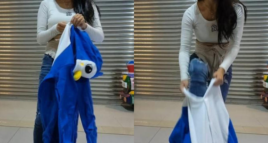 企鵝妹重拾戰袍強勢回歸！現身高鐵「換企鵝裝猛晃20秒」網看傻：真的猛