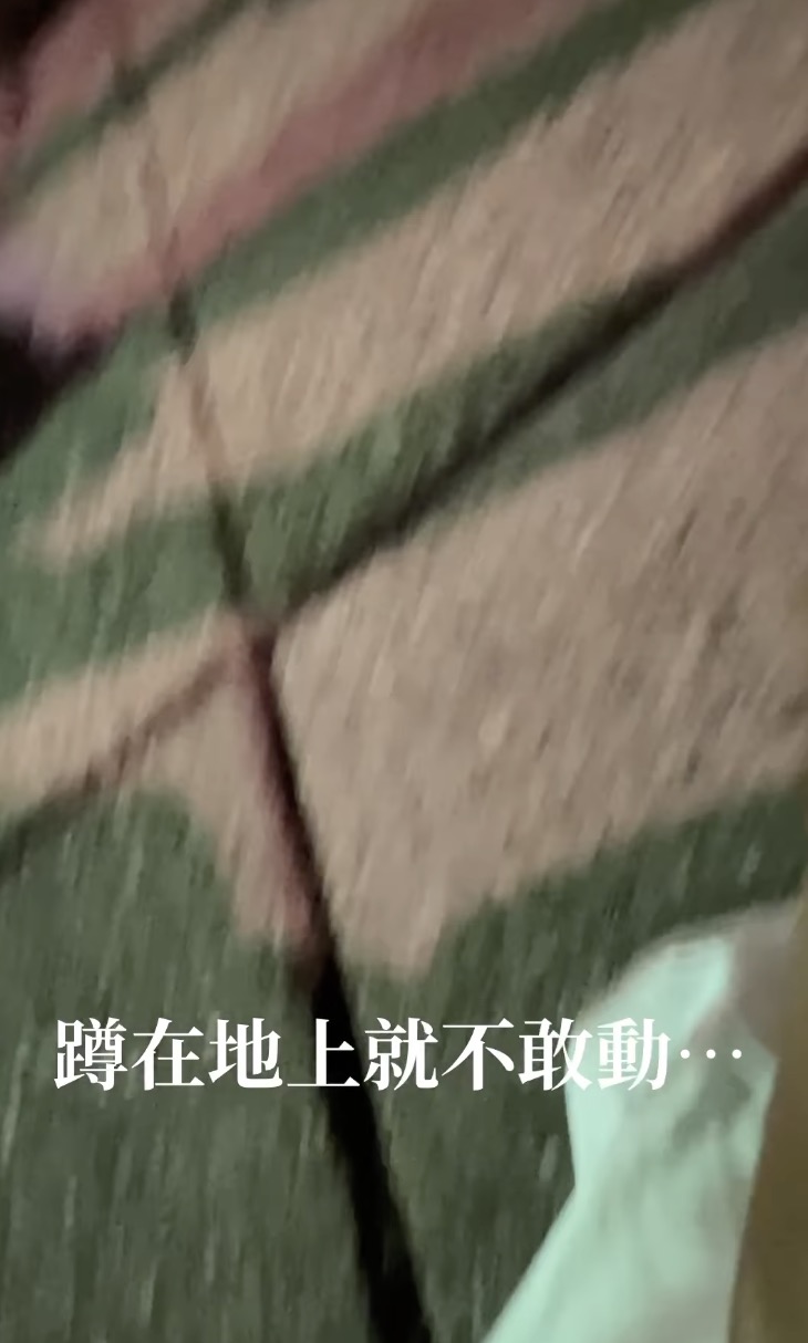網美艾庭遊澳突挨暴打!遭「種族歧視言語辱罵」施暴者恐無罪脫身