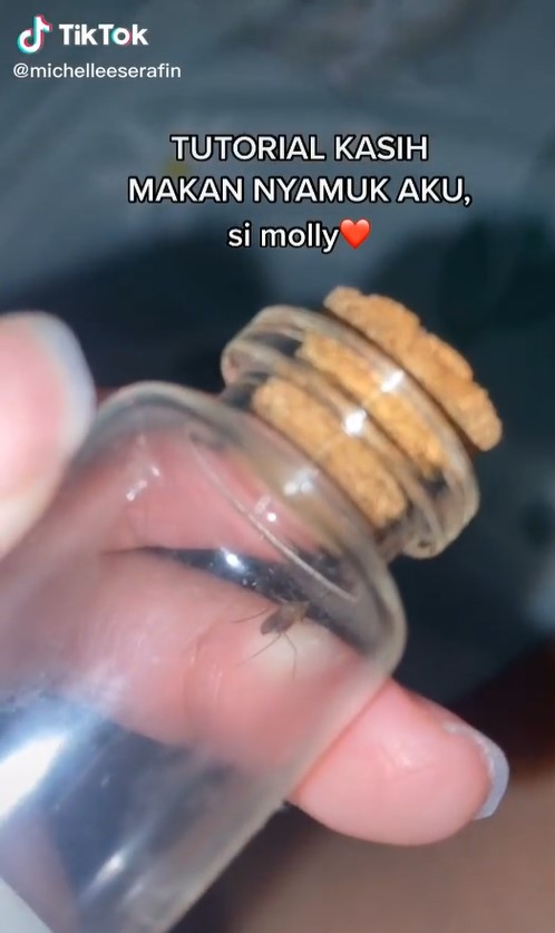 TIKTOK網紅養蚊子 露白嫩腿「餵食」網暴動:想吸她血!