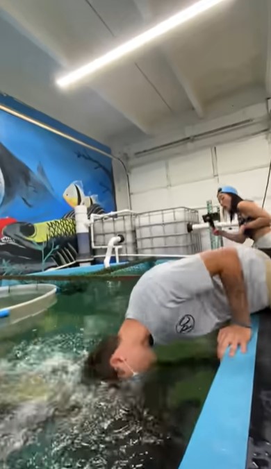 不要命!美國網紅「嘴餵巨魚」下秒墜水池 驚險畫面網全嚇傻!
