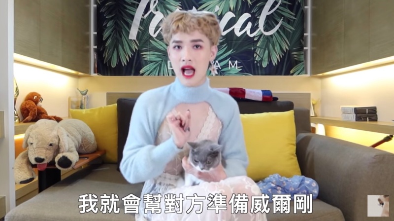 貓咪誤食壯陽藥!鍾明軒「一舉動」引網蓋樓怒批:不配養貓!
