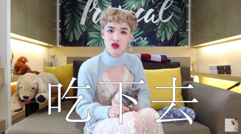 貓咪誤食壯陽藥!鍾明軒「一舉動」引網蓋樓怒批:不配養貓!