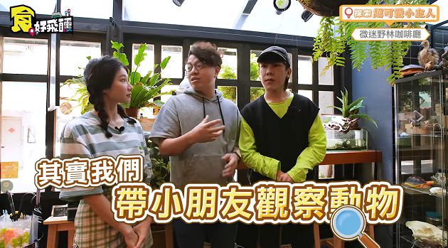 天竺鼠一天便便上百顆!林進曝「親子動物餐廳」 變色龍進食畫面超驚人