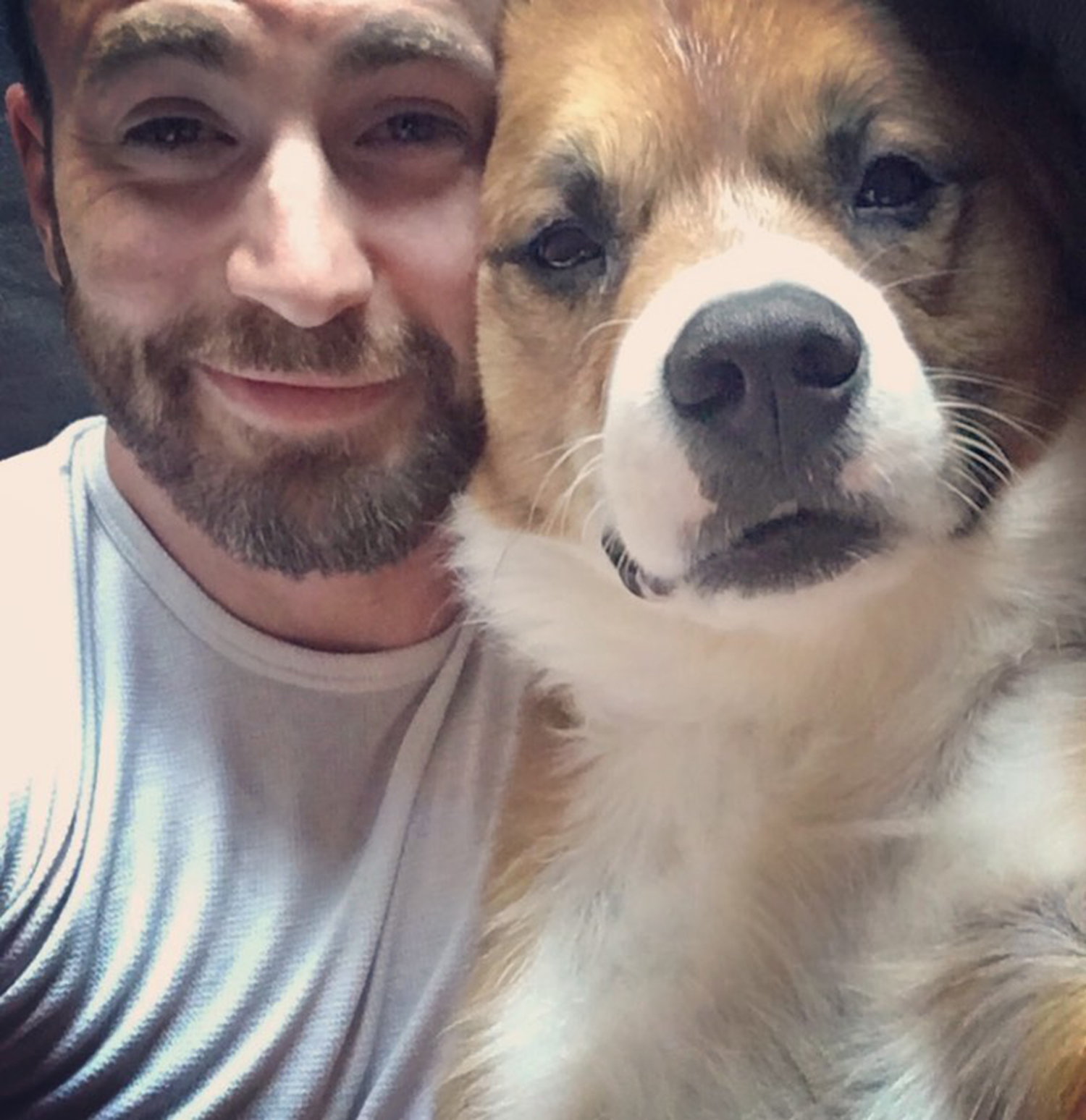 克里斯伊凡攜愛犬拍廣告!真摯告白「牠是我的一切」羨煞網:世上最幸福的小狗