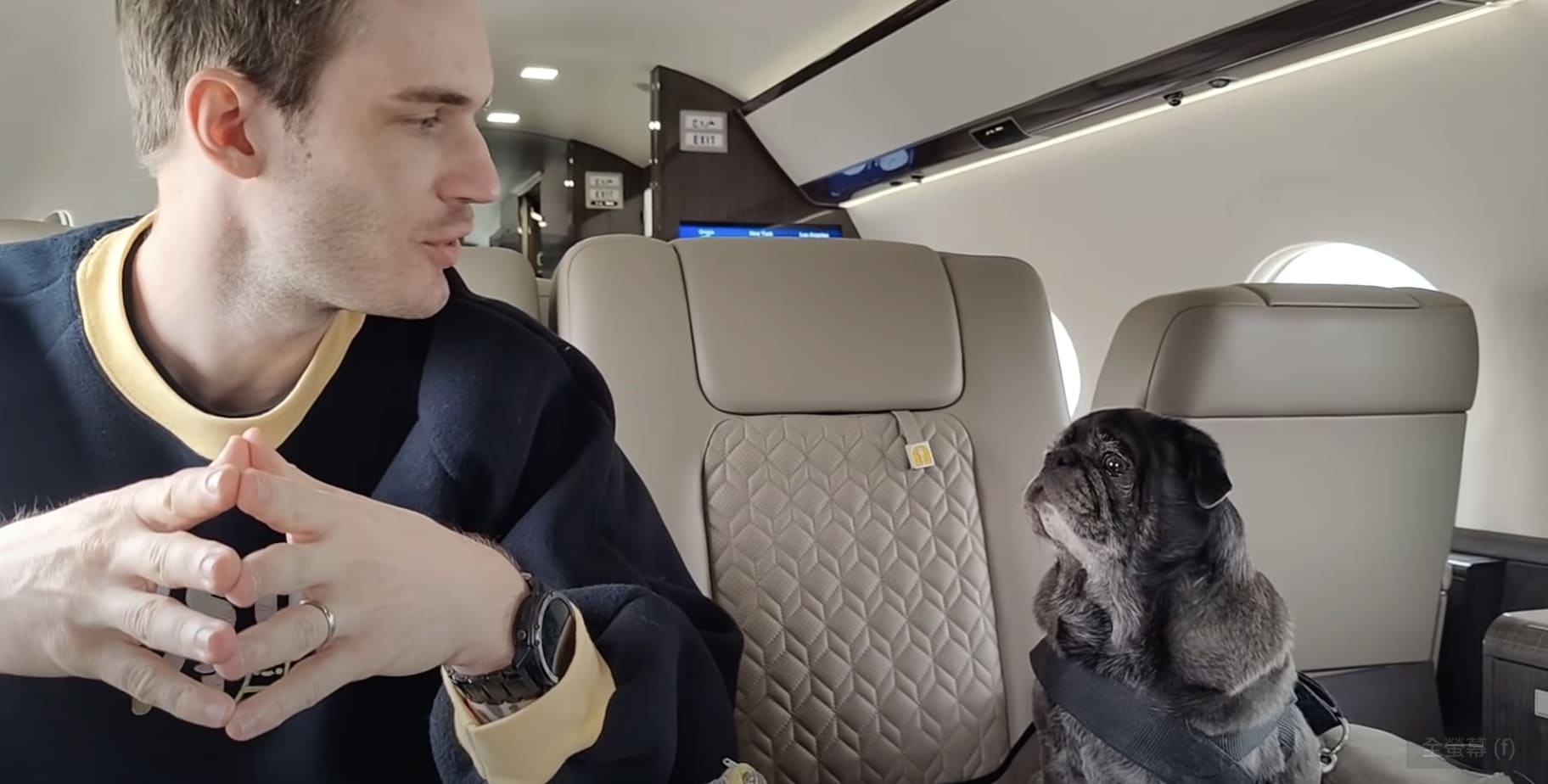PewDiePie攜妻移民日本!為愛犬租「私人飛機」 網呼: