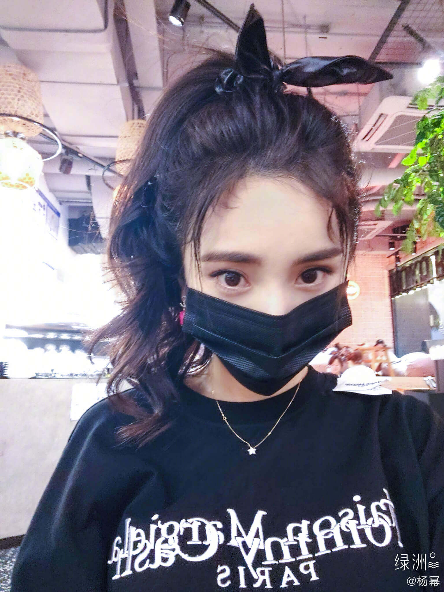 三隻貓都是撿回來的！楊冪「曝光萌照」：貓咪對自己比心