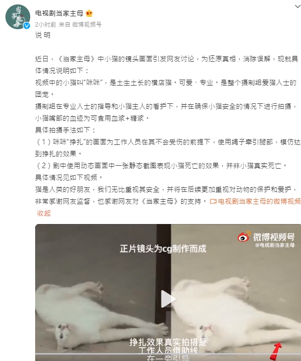 吐血畫面是真的?《當家主母》疑用真貓上陣 歐陽娣娣登陸再爆爭議