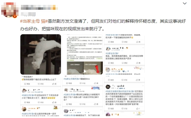 曾辭演《德魯納酒店》!朴信惠未婚夫「崔泰俊」也是童星出道