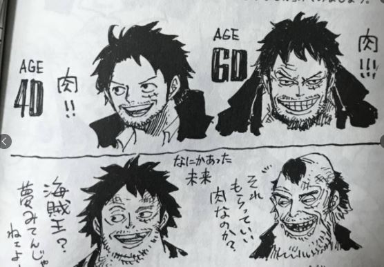 《航海王》長大了！喬巴「60歲模樣曝光」：別跟我提草帽小子！