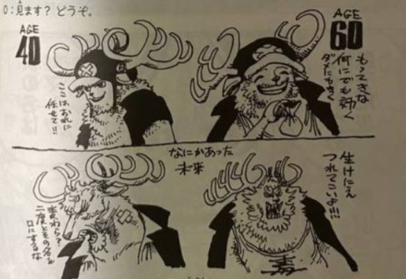 《航海王》長大了！喬巴「60歲模樣曝光」：別跟我提草帽小子！