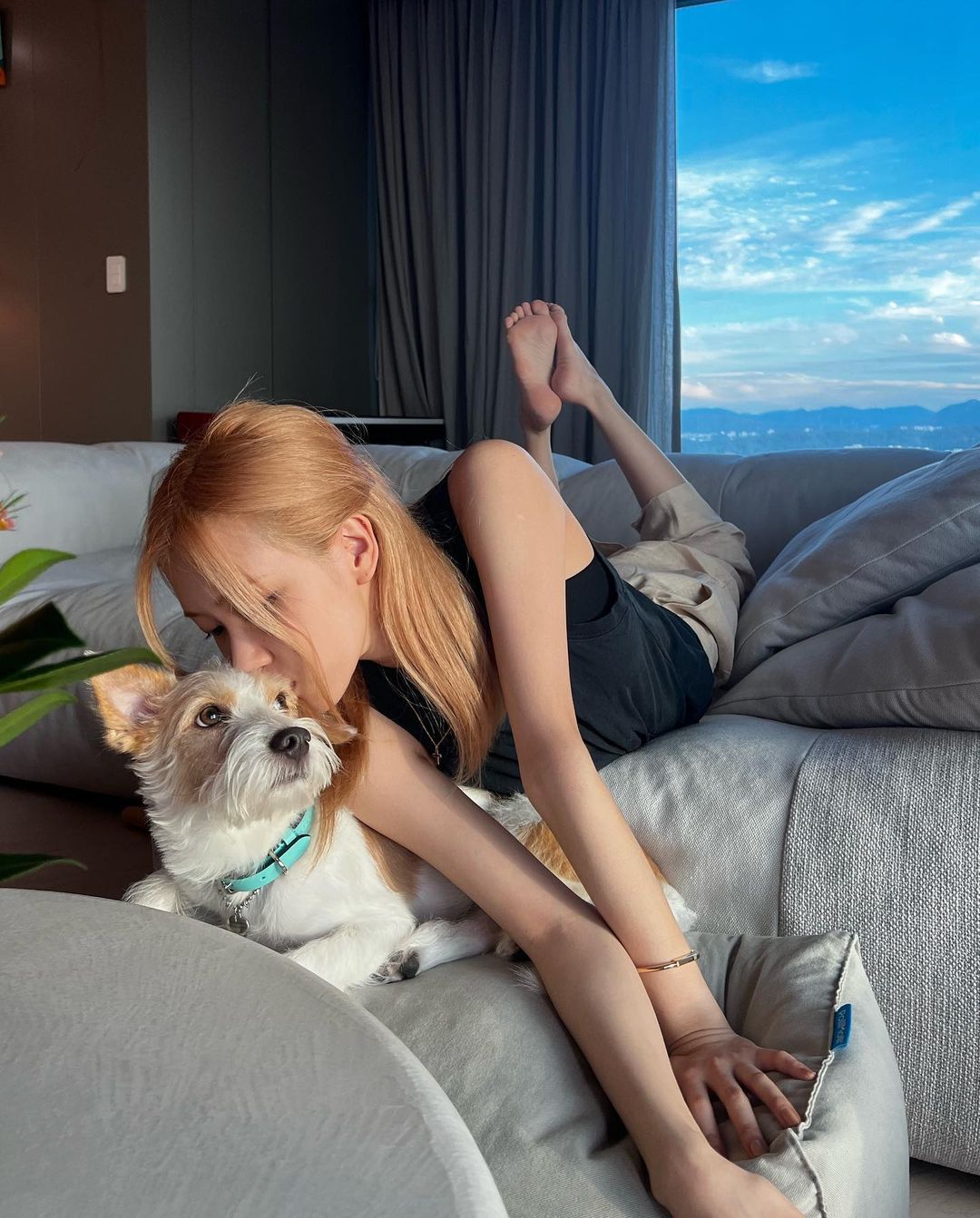 好狗命？Jennie愛犬「爽躺12萬傢俱」羨煞網　Rosé毛小孩也曾遭起底項圈破萬元