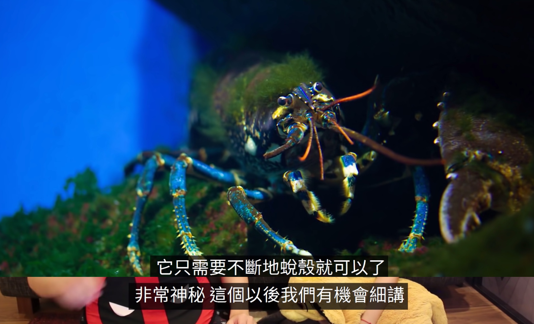 圖片來源/翻攝自老高YT