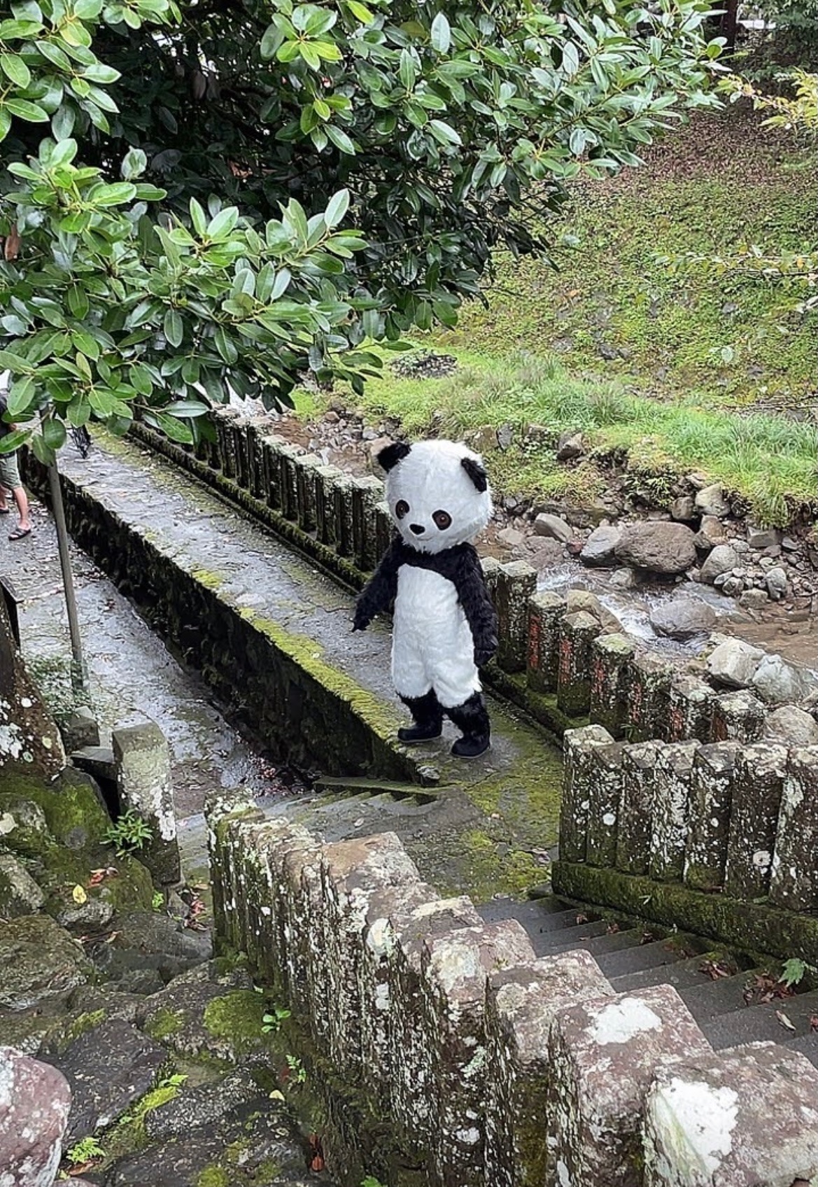 圖