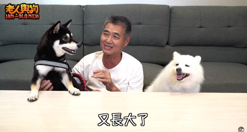 圖片來源/豆漿 – SoybeanMilk FB