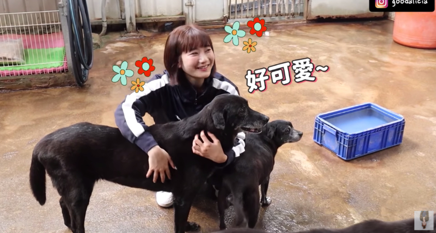 圖片來源/翻攝自愛莉莎莎YT