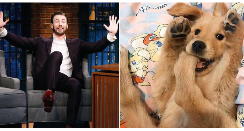 圖片來源/retrievans