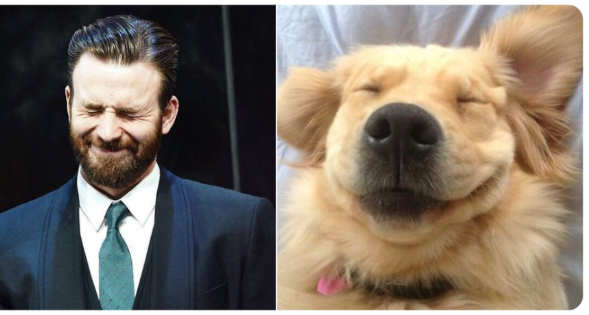 圖片來源/retrievans