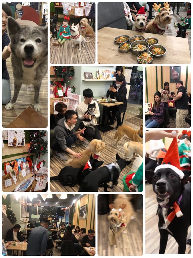 與犬同樂聖誕趴