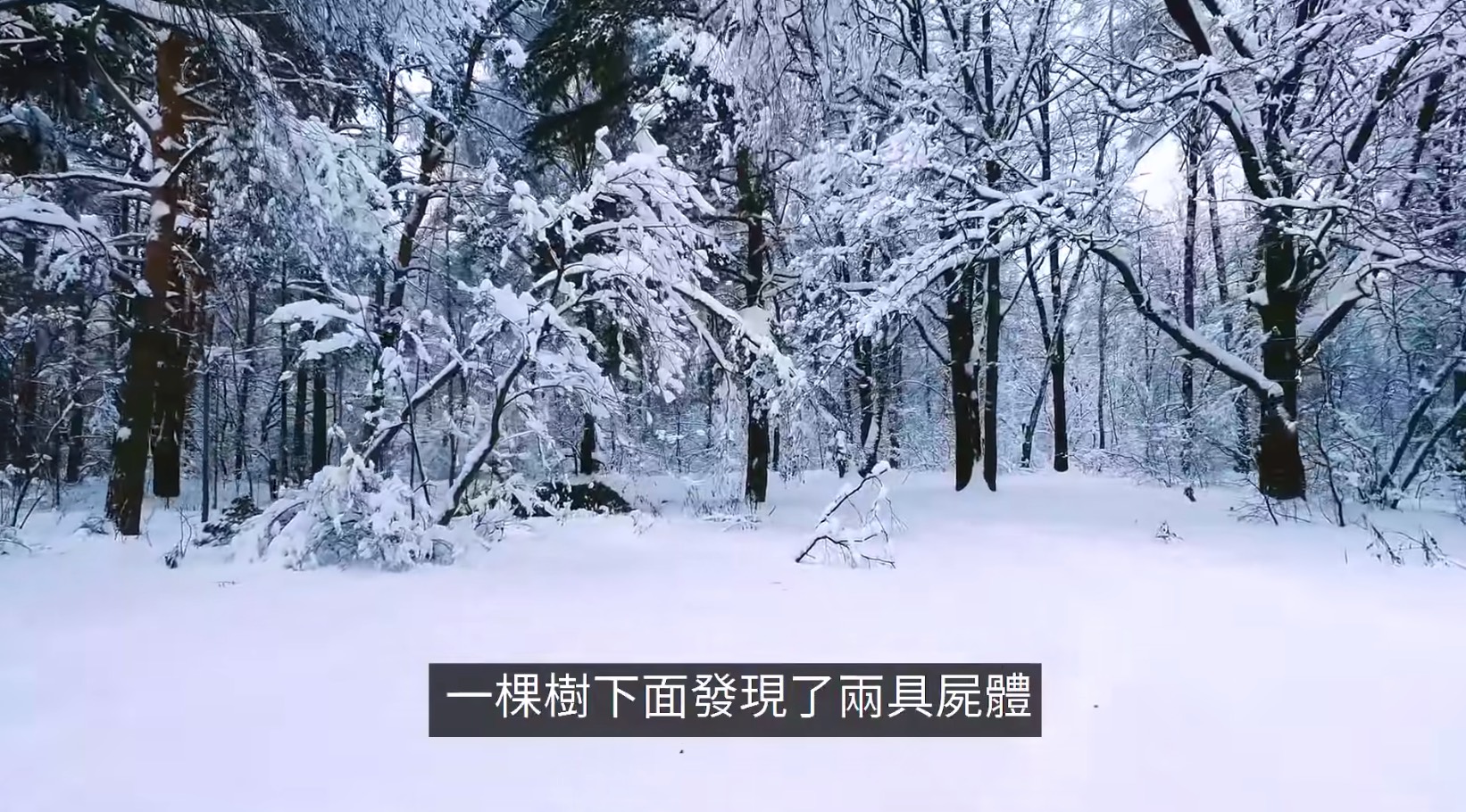 雪山上發生的最不可思議的事