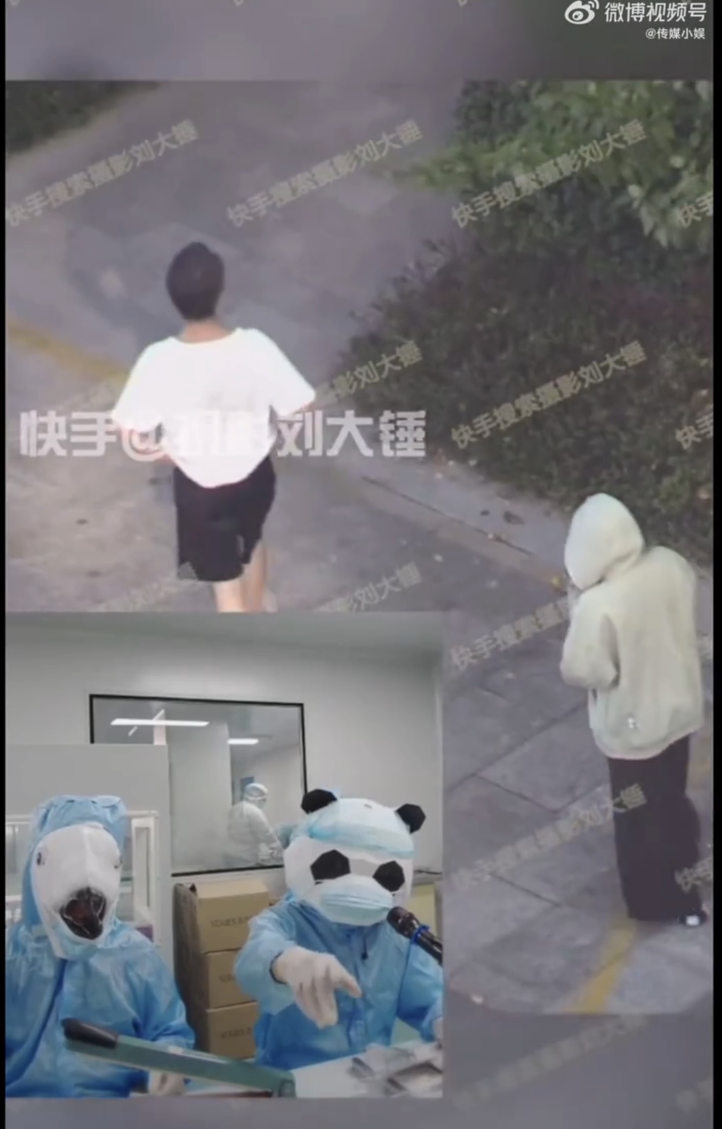 《蒼蘭訣》張凌赫爆戀情!白鹿「過夜2天」門口比心全被拍 疑假戲真做