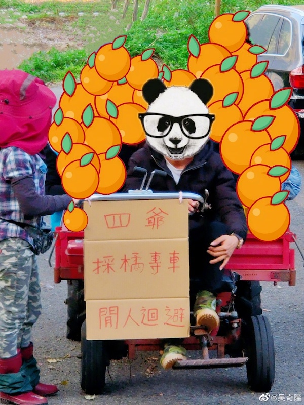 吳奇隆「近照曝光」網呼:變好多!返台「獨逛白爛貓展」:看了一直喵