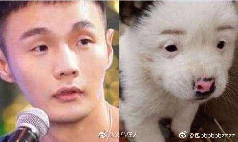 楊丞琳曬「狗界李榮浩」登熱搜第1!網友笑虧「眼睛哪有那麼大」