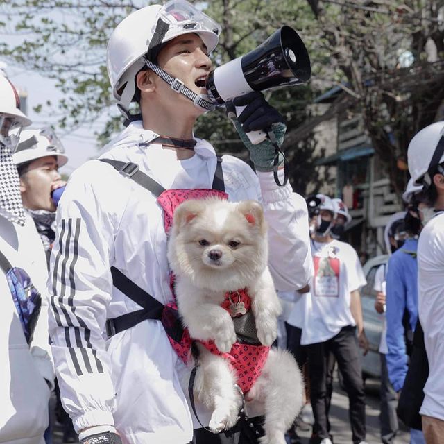緬甸最帥和尚被關半年!憔悴「牢籠照」曝光 無奈苦笑粉絲心碎