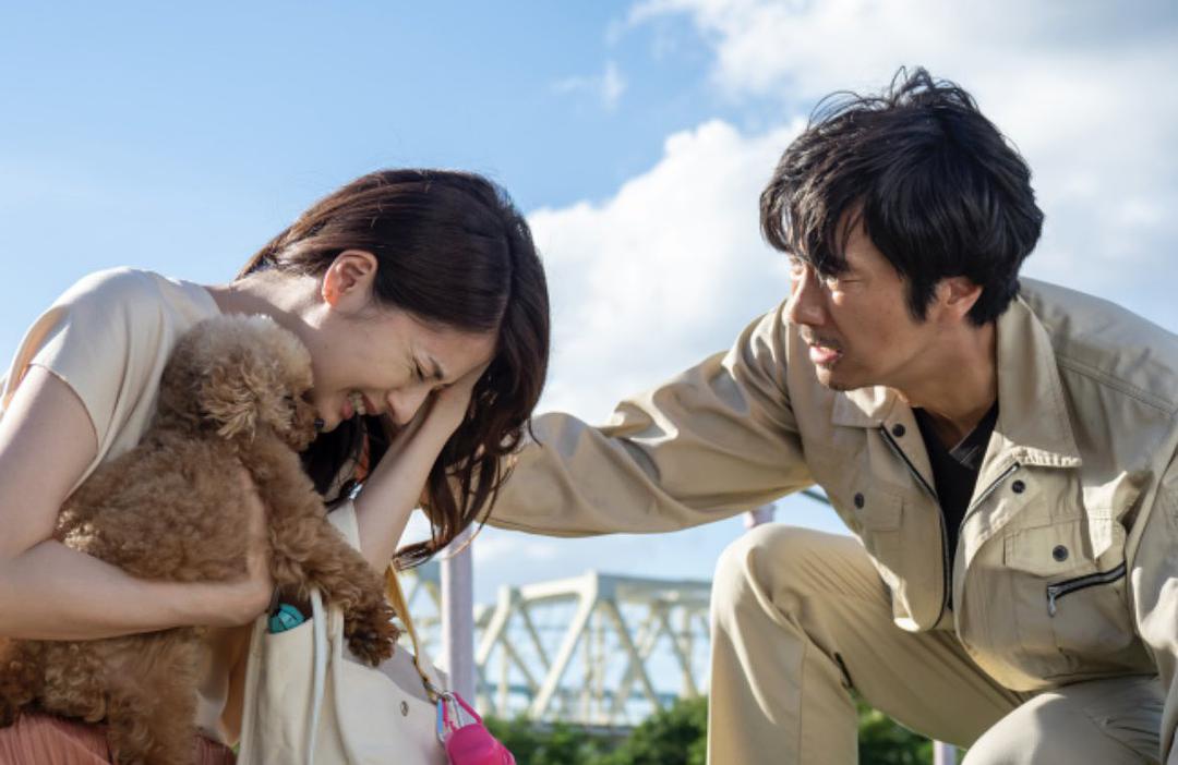 Netflix日劇《金魚妻》1~8集分集劇情:6人妻全遇渣夫出軌!