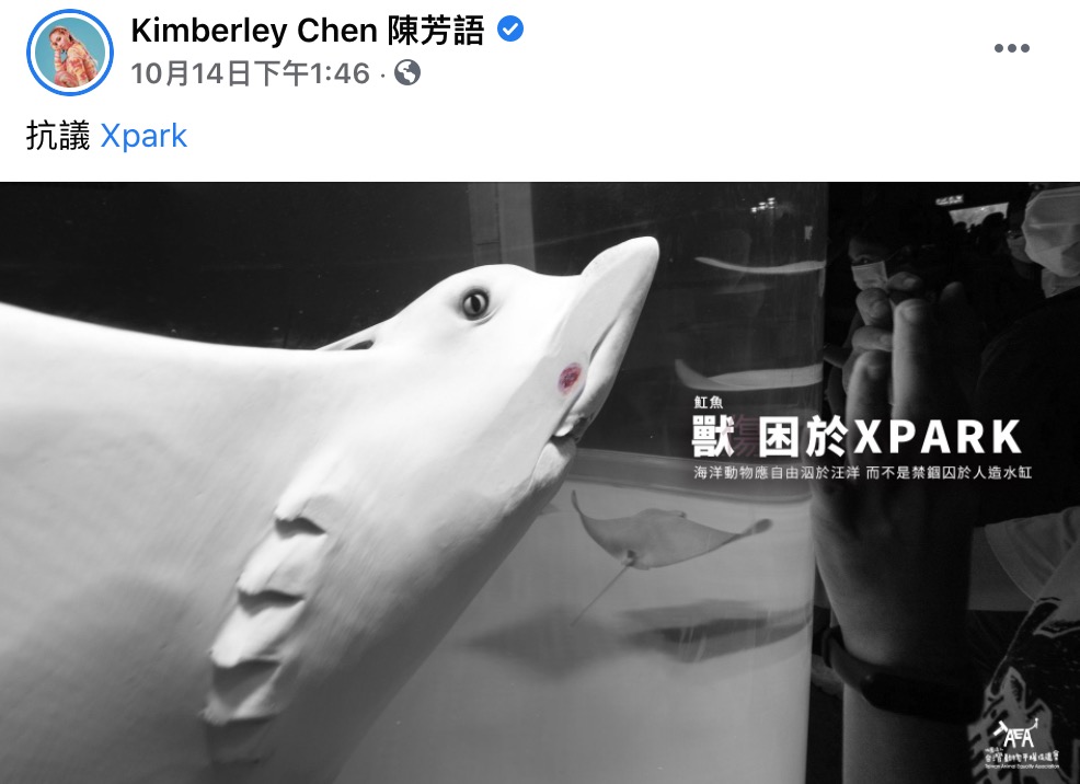 陳芳語「吃素11年」生蠔照被挖出惹議!無奈回應:「每天都有新的要澄清」