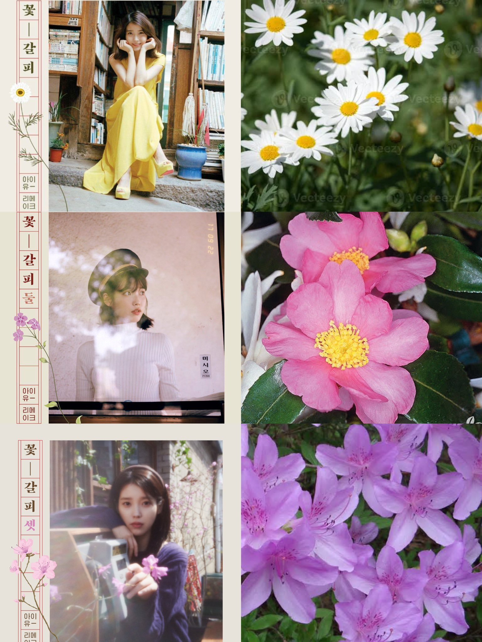 IU 睽違 8 年再推《花書籤3》!以杜鵑花譜出經典新篇章
