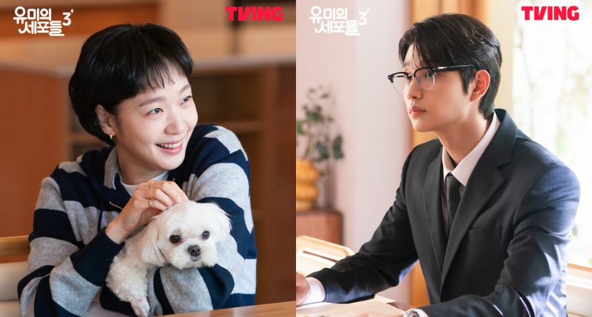 真的等到了！《柔美的細胞小將3》正式定檔2026年4月 金高銀成「明星作家」與年下男神金載原展開熱戀