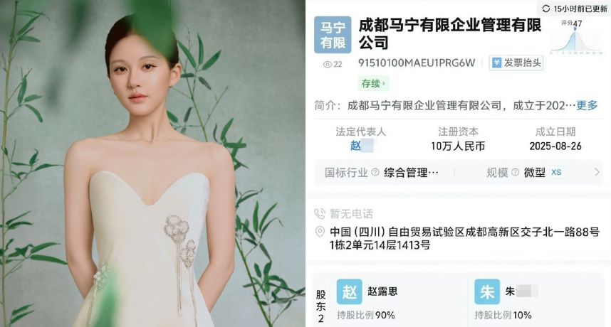 趙露思掰了演藝圈轉戰商界？回老家開公司取名「馬寧有限」粉絲讚是天才