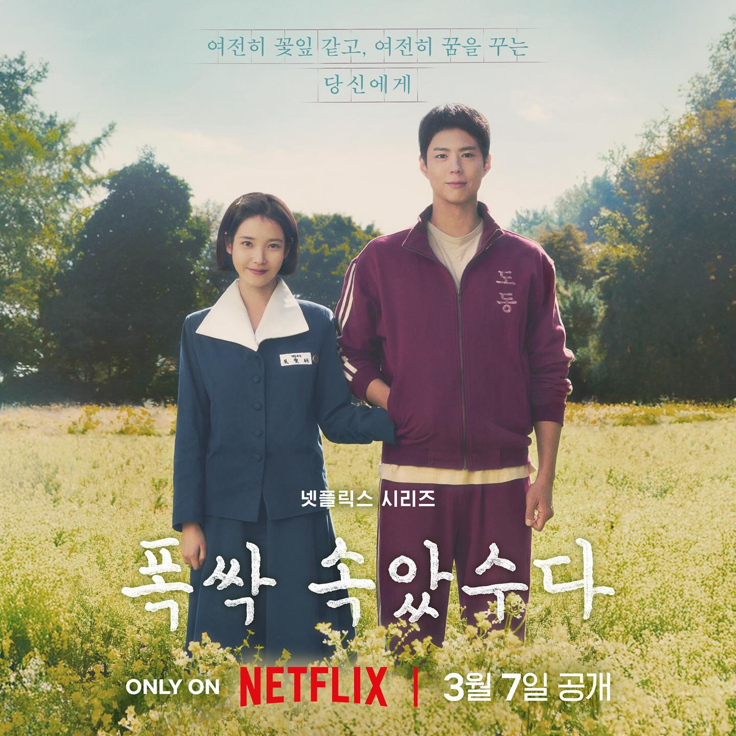 IU、朴寶劍《苦盡柑來遇見你》預告與海報釋出!手牽手穿梭在濟州島油菜花田超浪漫