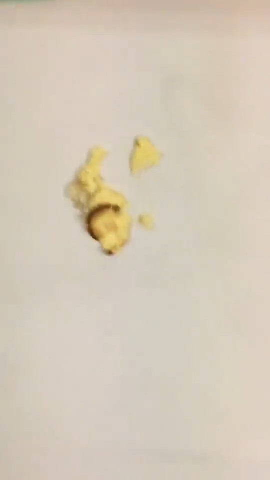 壽司郎屁孩翻版!男偶像拿「泡芙砸牆三連發」玩食物片段瘋傳 網撻伐:超沒品