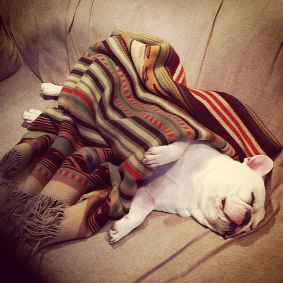 17910a3303592c0ed00a36e9aff58a04