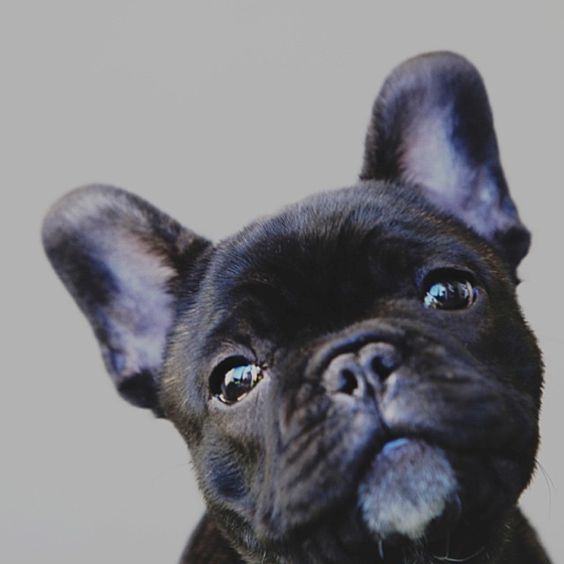 5510e30326295f8b2e4a2d7a048b2add