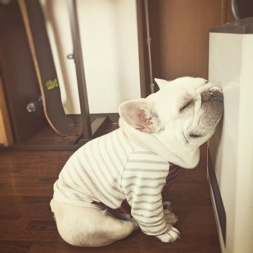 771c9f82f7a87fe9dc884553473881de