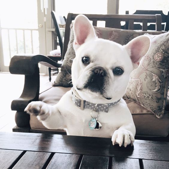 7eefa3fe6047b543340b7c45b839ce43