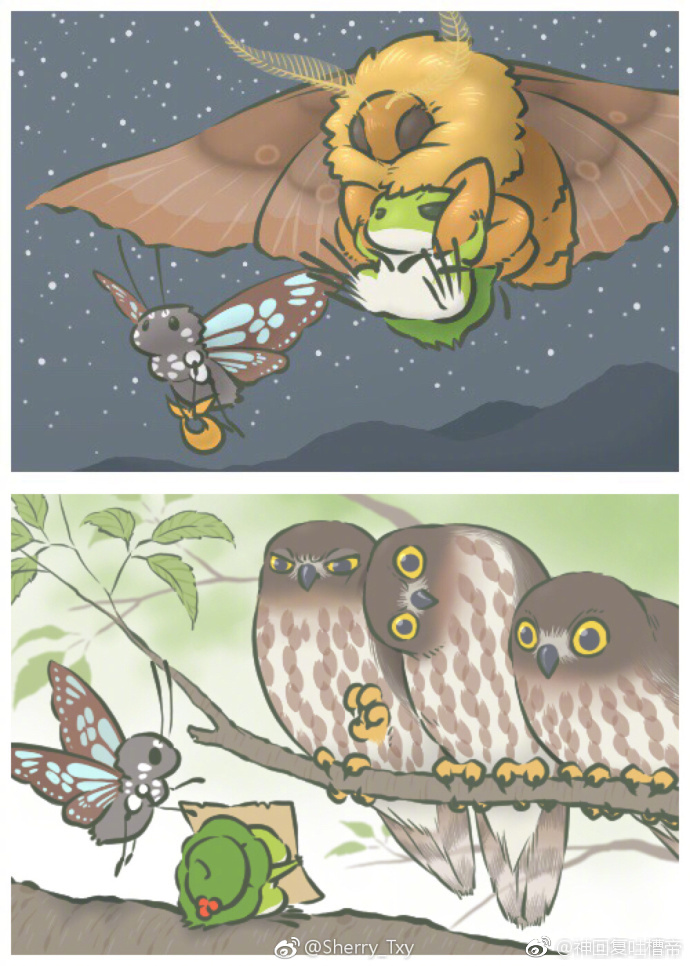 9e90165dly1fnz4gkhogfj20j60qu457